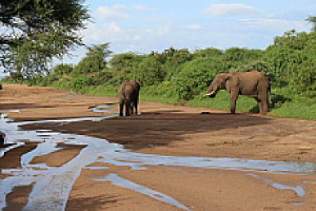Lake Manyara Nationalpark