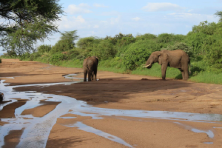 Tansania Natronsafari image