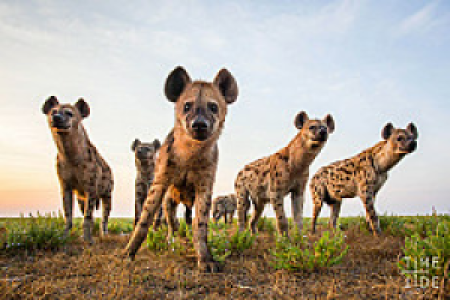 Liuwa Plain Nationalpark