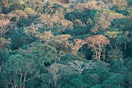 Lope Nationalpark