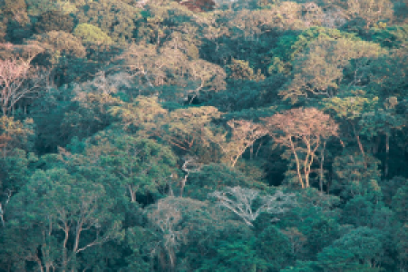 Lope Nationalpark display image