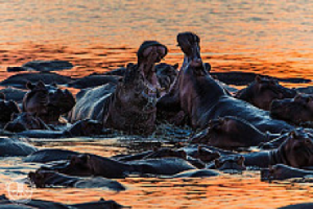 Luambe Nationalpark
