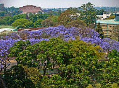 Lusaka