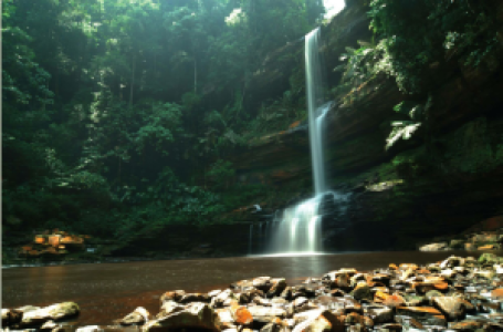 Maliau Basin display image
