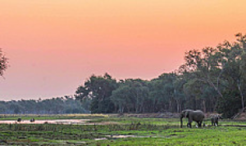 Mana Pools Nationalpark