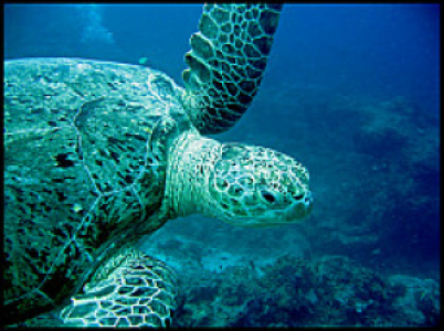Maratua Atoll