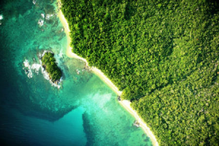 Masoala Nationalpark display image