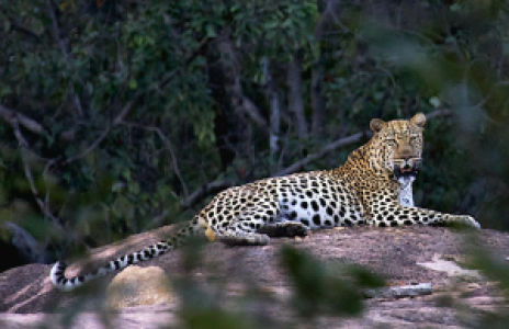 Matobo Hills display image