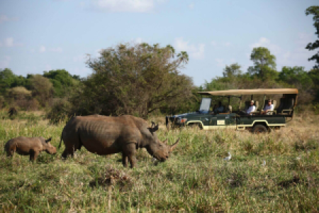 Kenia Rhino-Safari image