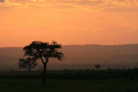 Tansania Grand Safari image