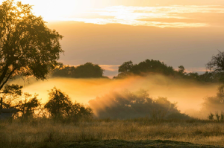 Botswana Grand Safari image