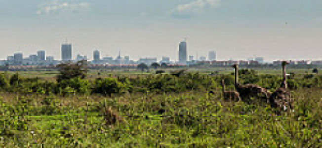 Nairobi