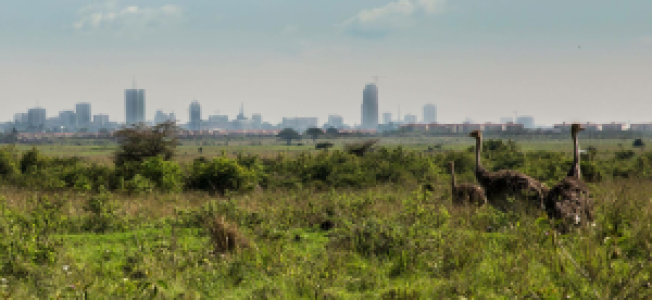 Kenia Grand Safari image