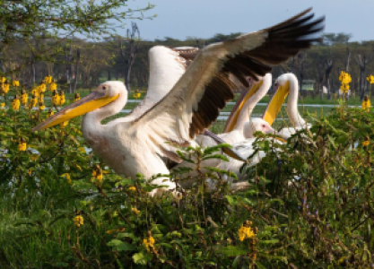 Kenia und Tansania: das Beste von Ostafrika image