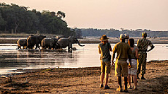 North Luangwa