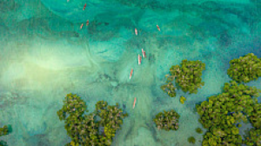 Pemba Island