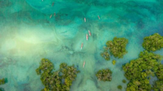 Pemba Island display image