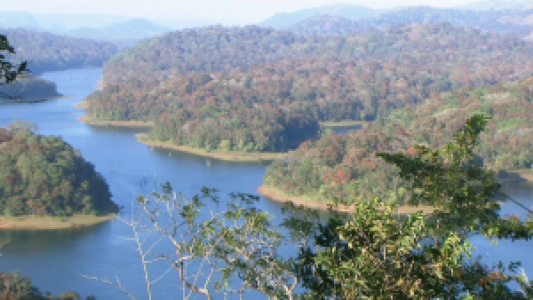 Periyar-Nationalpark display image
