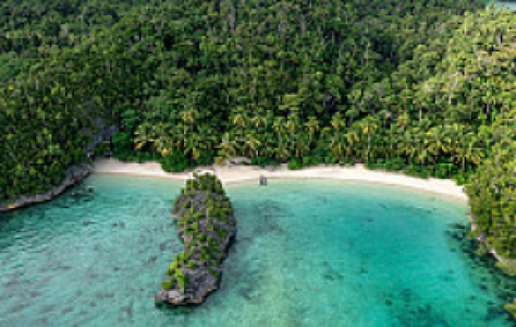 Raja Ampat und West Papua