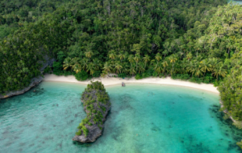 Raja Ampat und West Papua display image