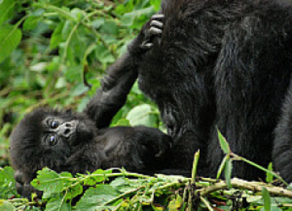 Ruanda