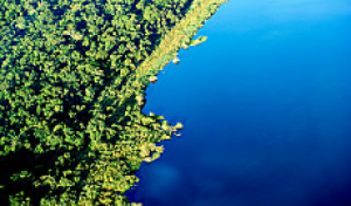 Rubondo Island