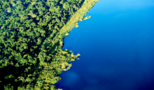 Rubondo Island display image