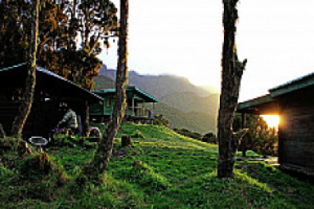 Ruwenzoris