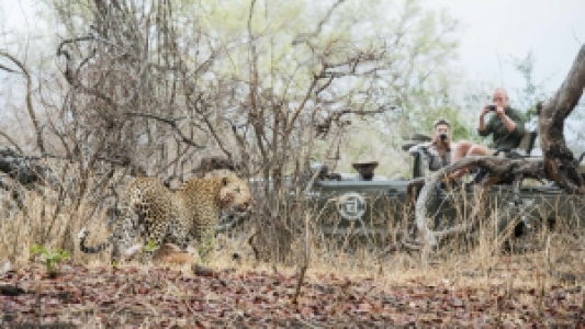 South Luangwa