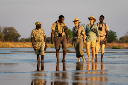Walking Safaris
