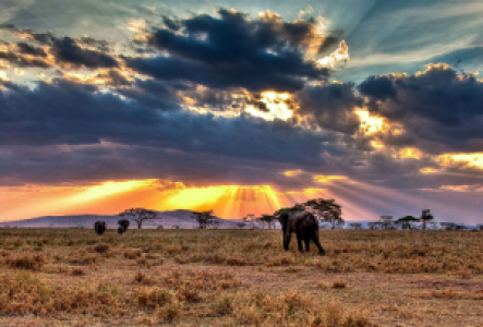 Kenia und Tansania: das Beste von Ostafrika image