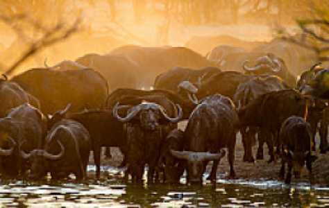 Simbabwe
