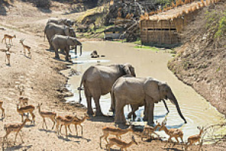 South Luangwa Nationalpark