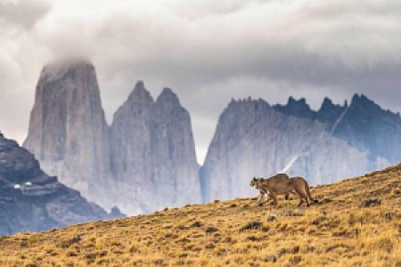 Torres del Paine
