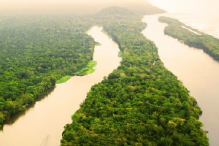 Costa Rica Tierbeobachtungsreise: die reiche Küste image