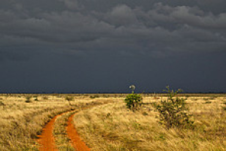 Tsavo Ost
