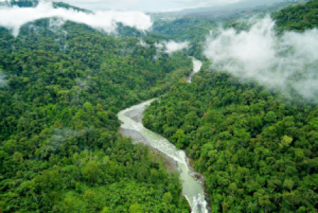 Turrialba display image