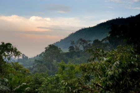 Bwindi