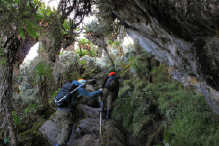 Kilembe-Trail im Ruwenzori-Nationalpark
