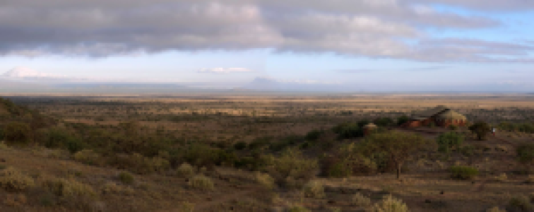 Tansanias zwei schönste Perlen: Serengeti und Ruaha image