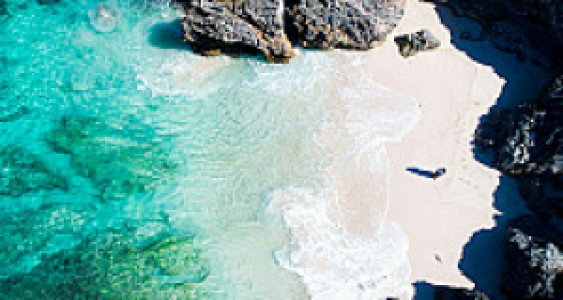 West Timor