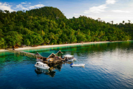 Biodiversity Nature Resort