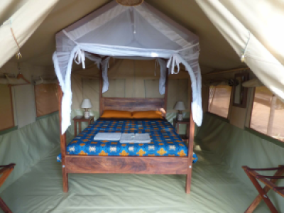 Blue Monkey Guesthouse