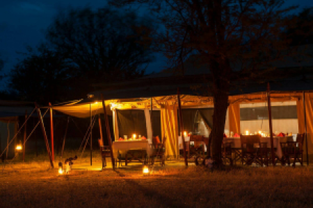 Bologonya Under Canvas