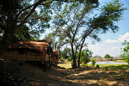 Buffalo Camp