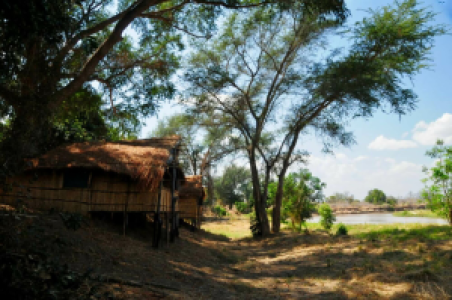 Buffalo Camp