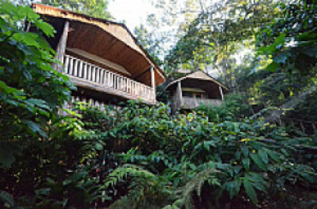 Buhoma Lodge