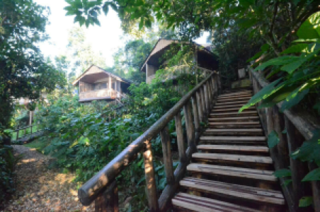 Buhoma Lodge