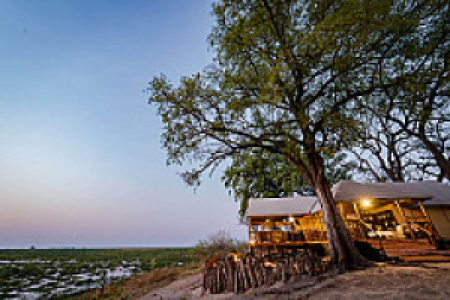 Camp Linyanti