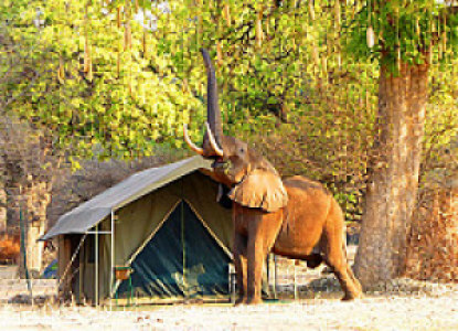 Camp Mana